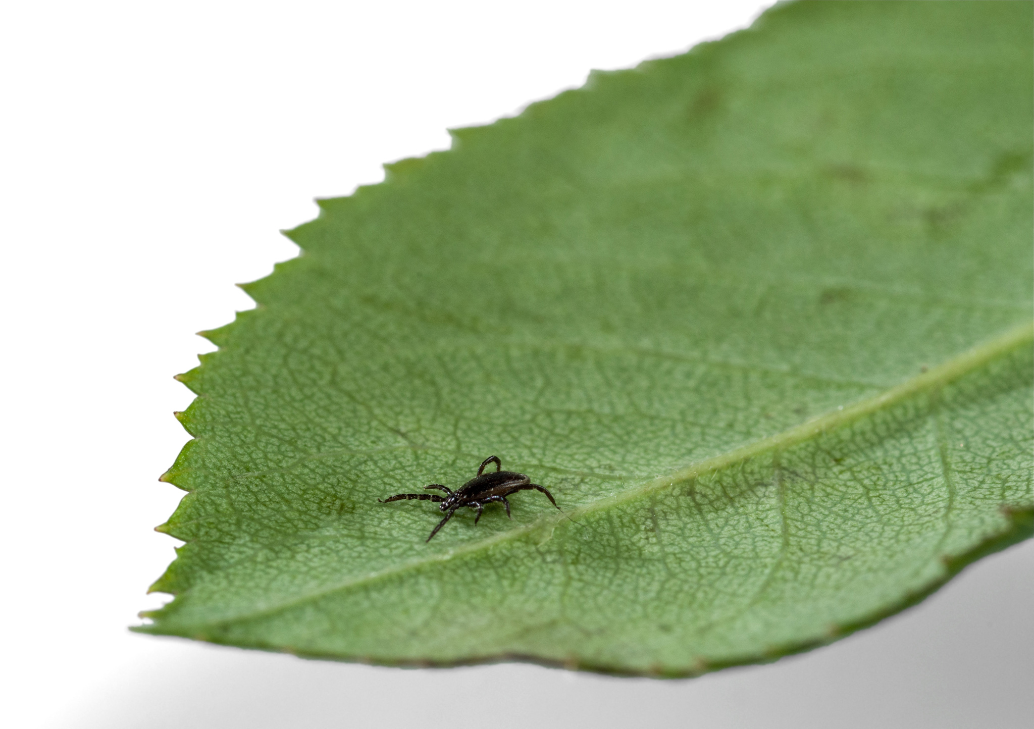 AdobeStock_229808993-BLOG